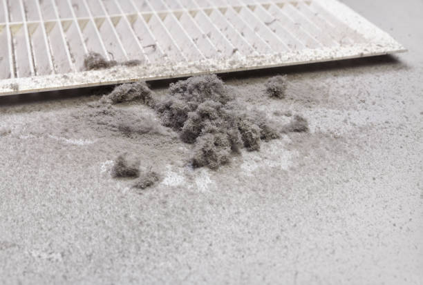 Best HVAC Air Duct Cleaning  in Alanes Ridge, CA